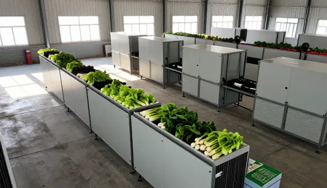 农产品收购中验收交付的关键环节与实际应用