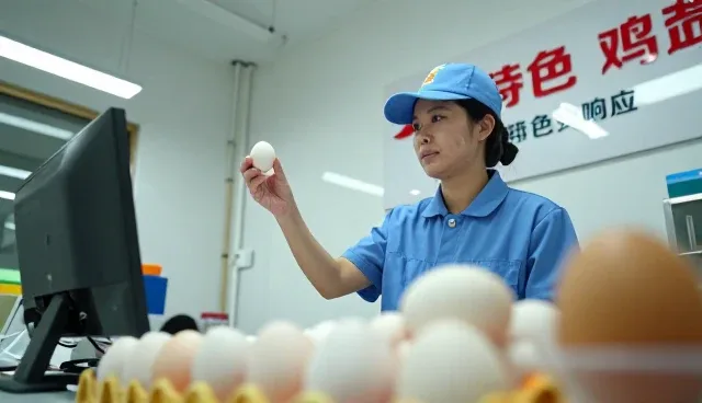 农资供应在农产品收购中的关键作用与适用场景分析